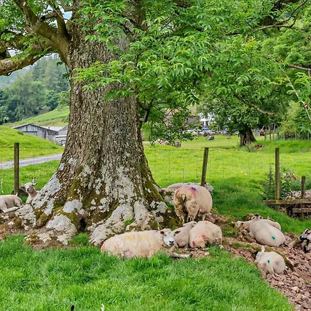 1 Bed In Patterdale 85531 Holiday home